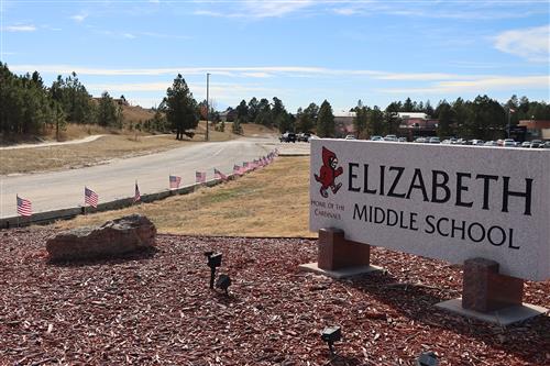  62 flags honor veterans at EMS after an NJHS fundraiser for DAV